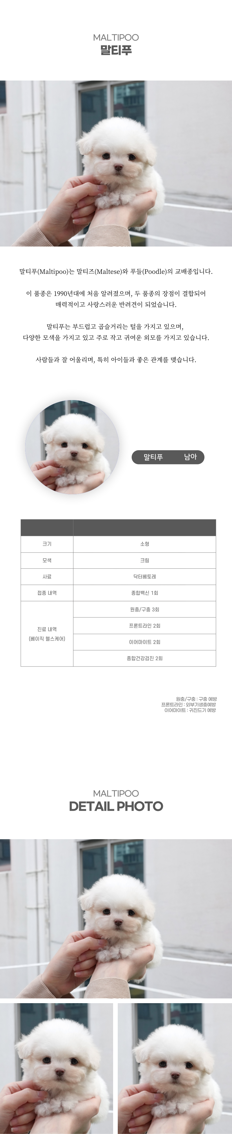 말티푸_상세이미지_2